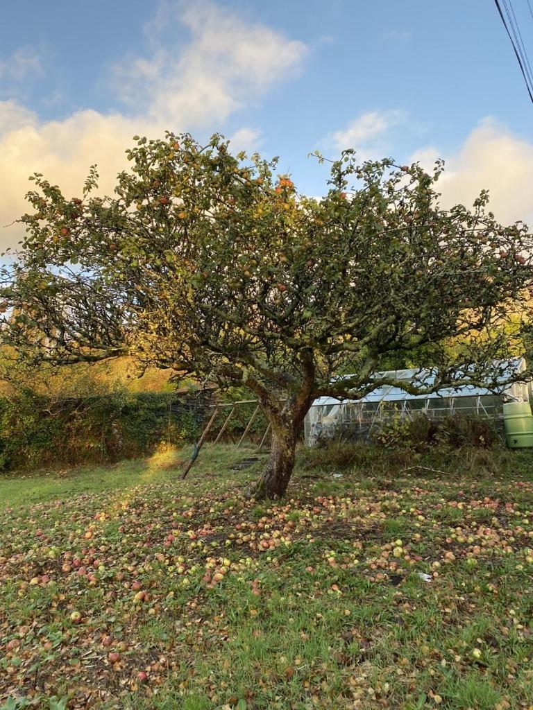 Maes Y Neuadd Talsarnau Exteriér fotografie
